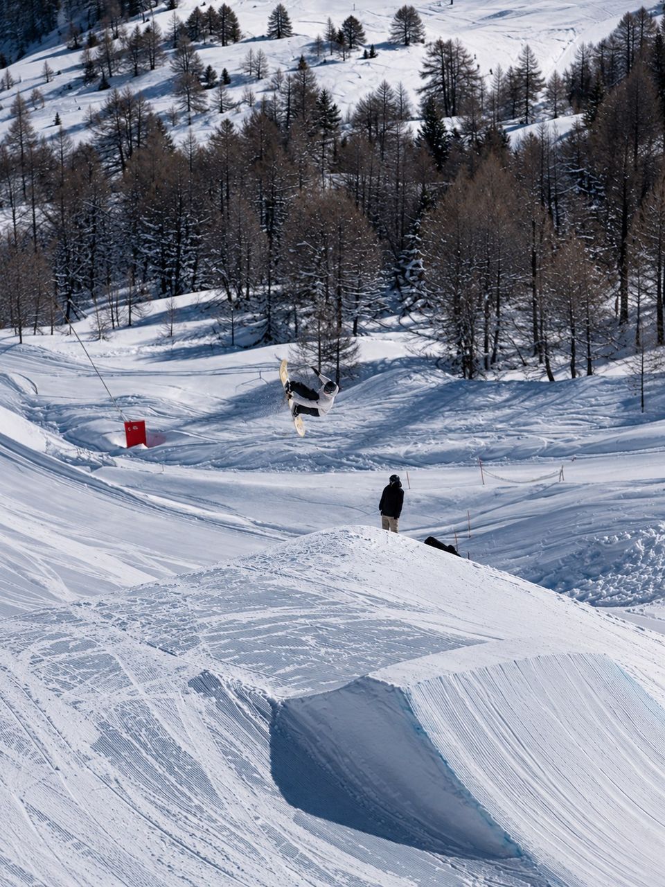 Saut sur un big air dans un mélézin